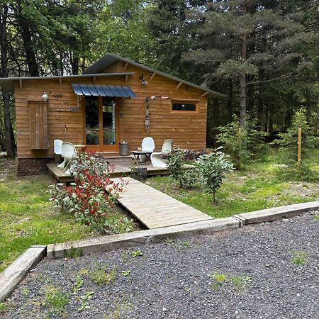 Chalet Libellule Domaine De La Mamounette Champclause Экстерьер фото