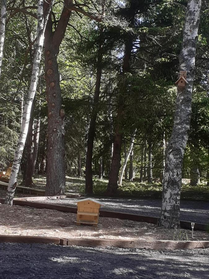 Chalet Libellule Domaine De La Mamounette Champclause Экстерьер фото