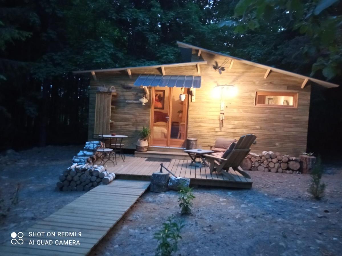 Chalet Libellule Domaine De La Mamounette Champclause Экстерьер фото