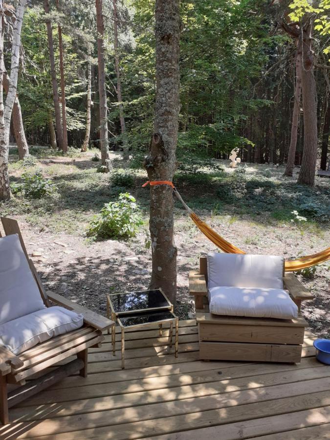Chalet Libellule Domaine De La Mamounette Champclause Экстерьер фото