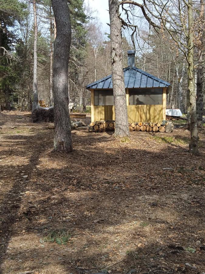 Chalet Libellule Domaine De La Mamounette Champclause Экстерьер фото